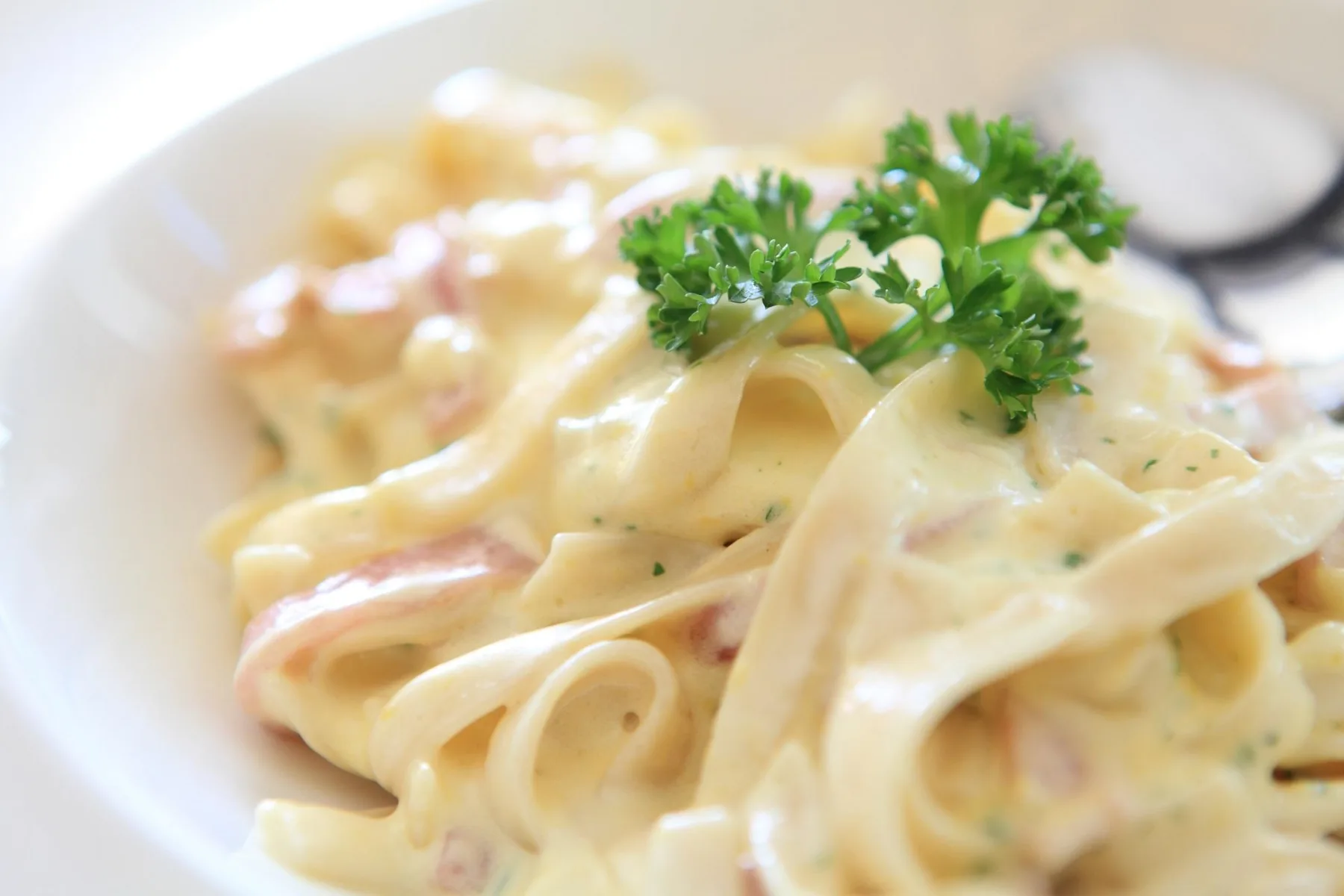 Macarrão Cremoso Simples