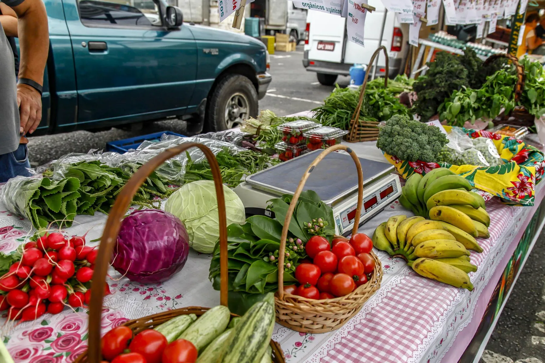Como Economizar na Feira Sem Levar Produtos de Baixa Qualidade